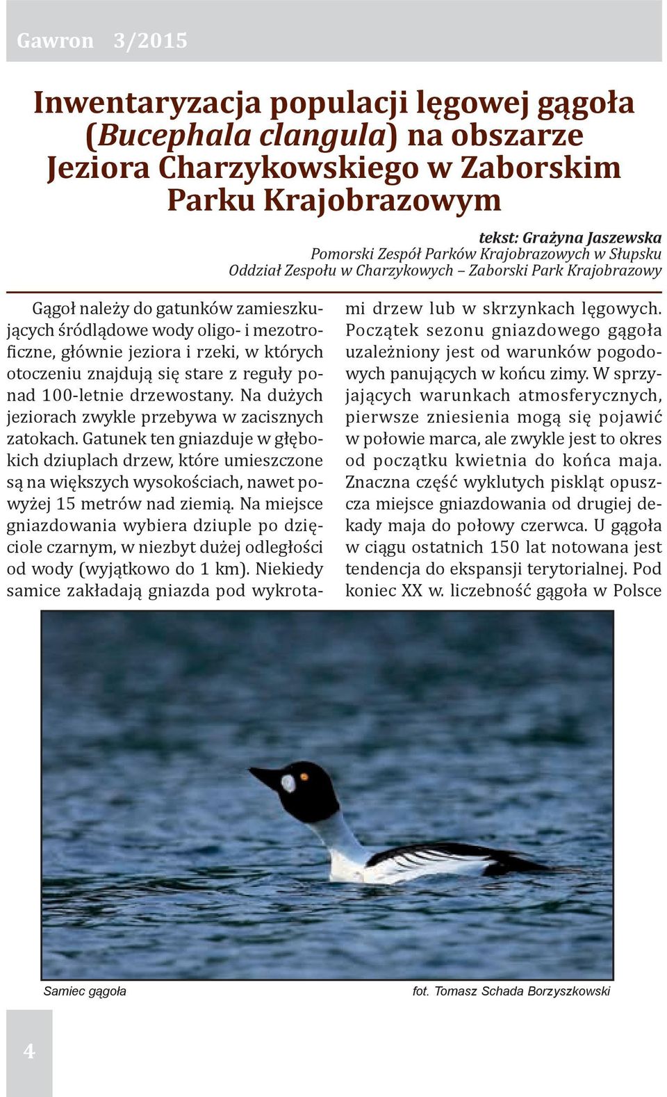 znajdują się stare z reguły ponad 100-letnie drzewostany. Na dużych jeziorach zwykle przebywa w zacisznych zatokach.