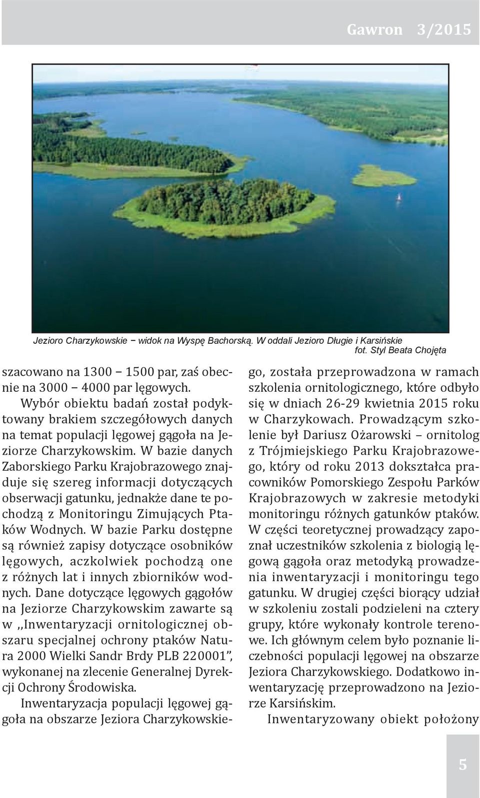 W bazie danych Zaborskiego Parku Krajobrazowego znajduje się szereg informacji dotyczących obserwacji gatunku, jednakże dane te pochodzą z Monitoringu Zimujących Ptaków Wodnych.