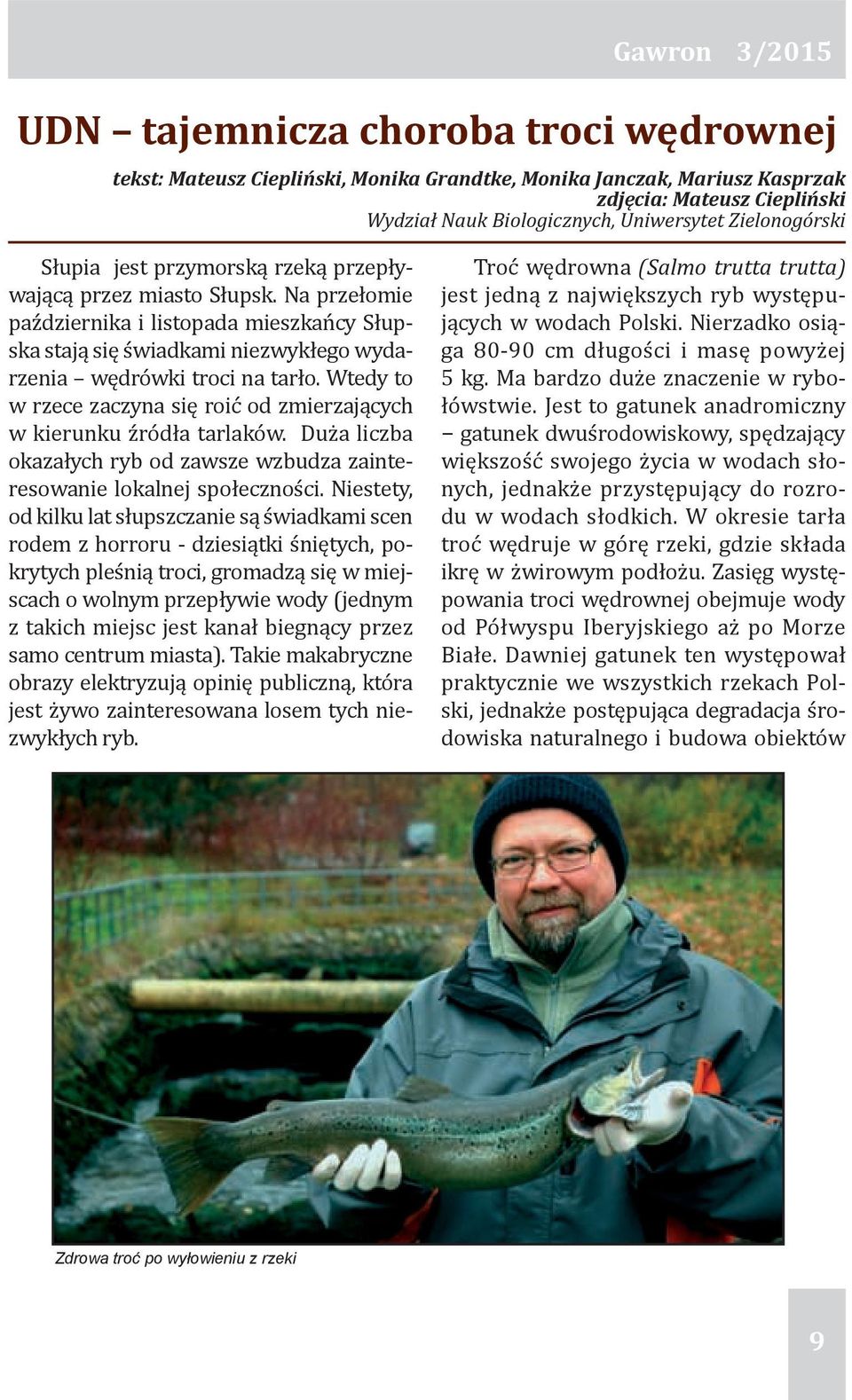 Wtedy to w rzece zaczyna się roić od zmierzających w kierunku źródła tarlaków. Duża liczba okazałych ryb od zawsze wzbudza zainteresowanie lokalnej społeczności.