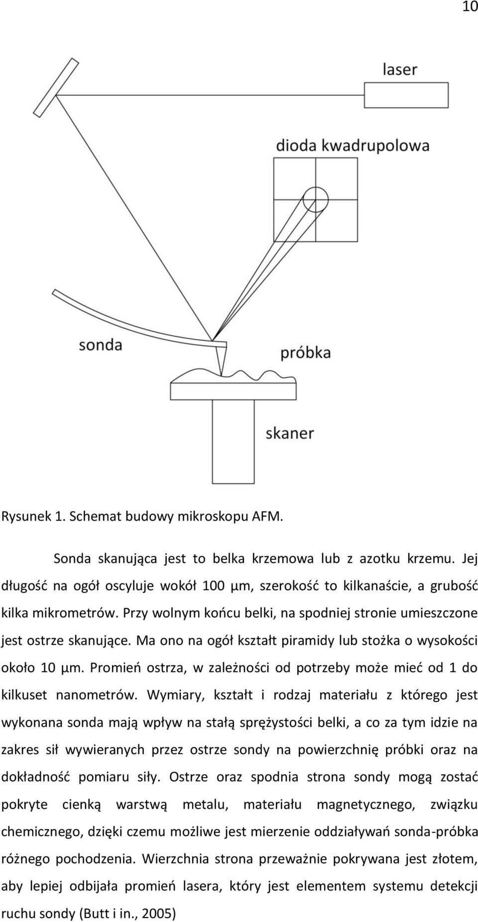 Ma ono na ogół kształt piramidy lub stożka o wysokości około 10 µm. Promień ostrza, w zależności od potrzeby może mieć od 1 do kilkuset nanometrów.