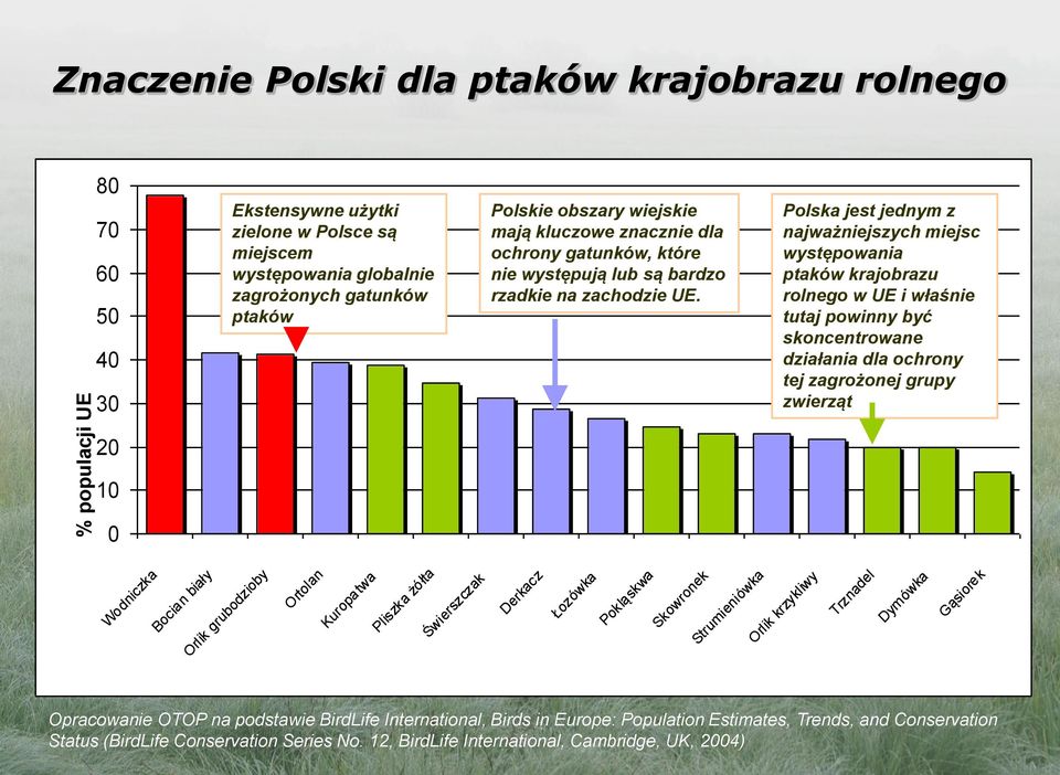 Polska jest jednym z najważniejszych miejsc występowania ptaków krajobrazu rolnego w UE i właśnie tutaj powinny być skoncentrowane działania dla ochrony tej zagrożonej grupy zwierząt 20 10 0