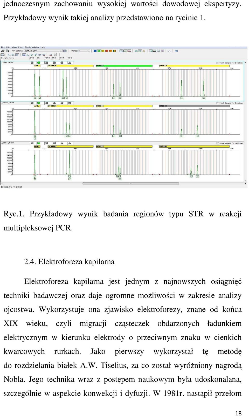 Wykorzystuje ona zjawisko elektroforezy, znane od końca XIX wieku, czyli migracji cząsteczek obdarzonych ładunkiem elektrycznym w kierunku elektrody o przeciwnym znaku w cienkich kwarcowych rurkach.