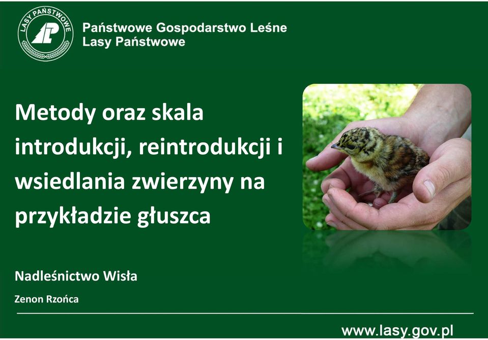 wsiedlaniazwierzynyna