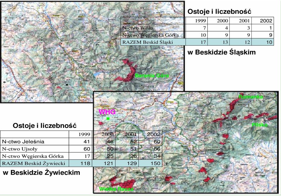 liczebność Pilsko 1999 2000 2001 2002 N-ctwo Jeleśnia 41 46 52 60 N-ctwo Ujsoły 60 50 51 56