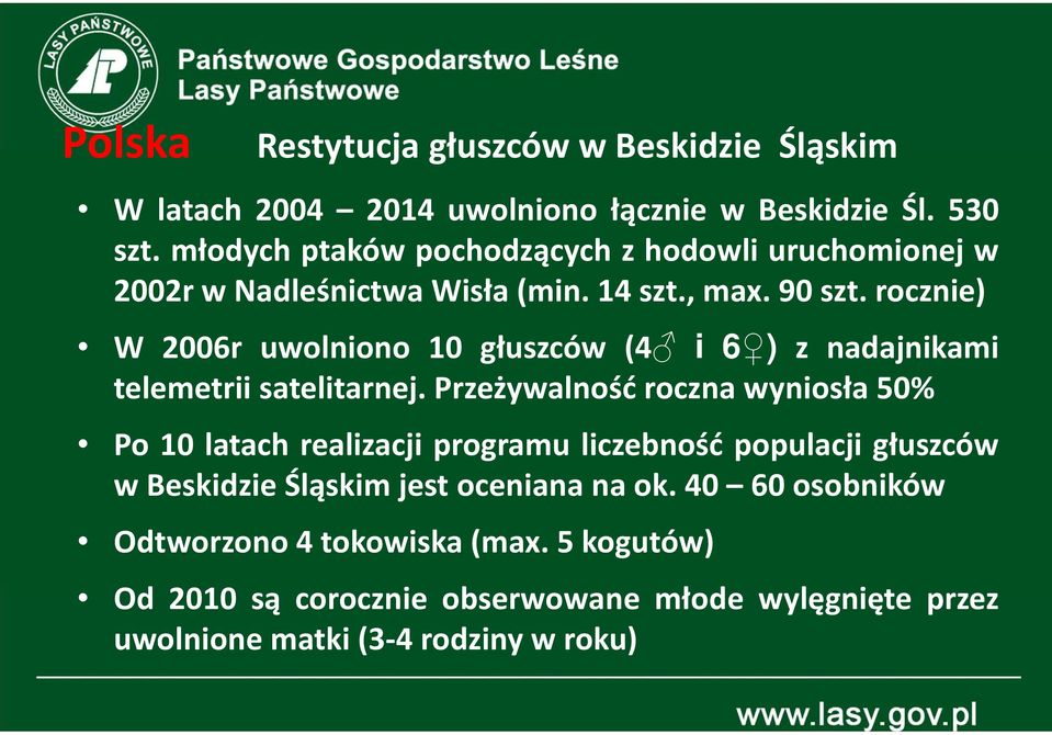 rocznie) W 2006r uwolniono 10 głuszców (4 i 6 ) z nadajnikami telemetrii satelitarnej.