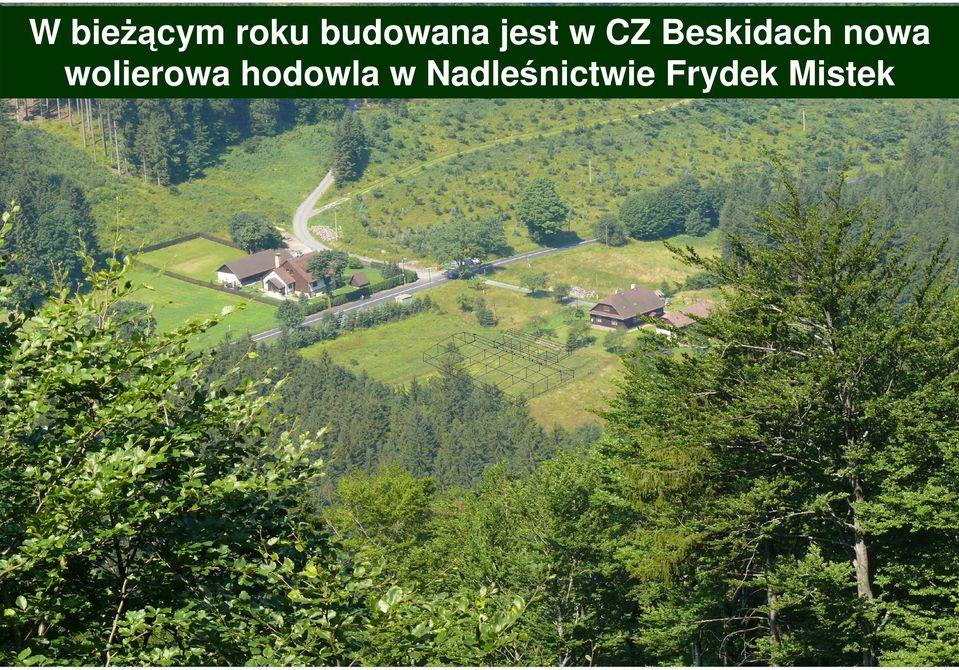 wolierowa hodowla w