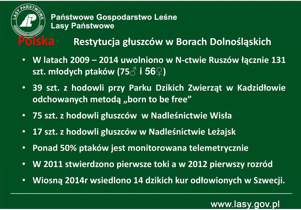 z hodowli przy Parku Dzikich Zwierząt w Kadzidłowie odchowanych metodą born to be free 75 szt.