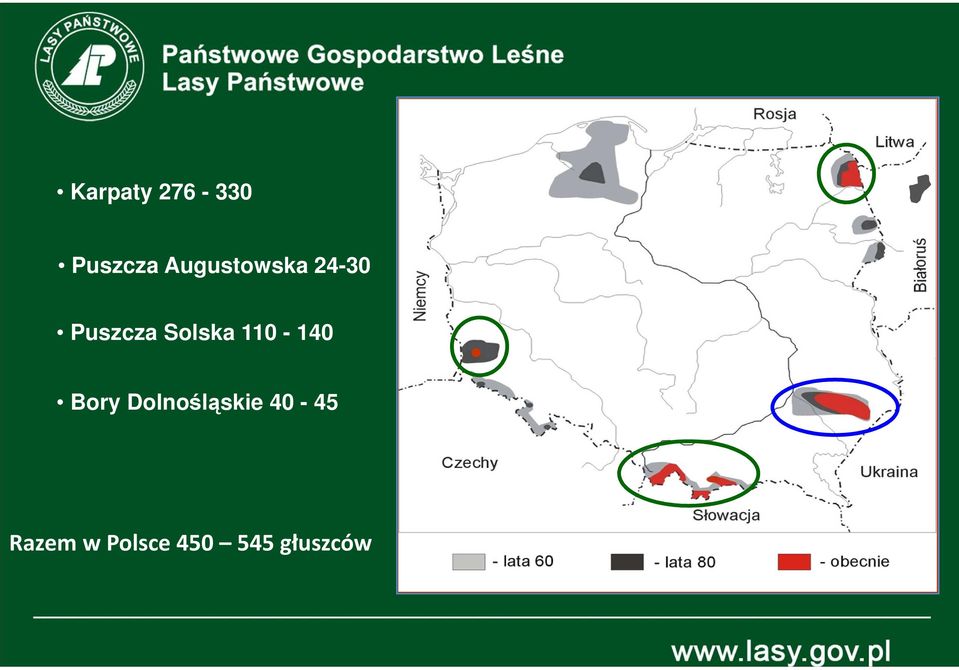 Solska 110-140 Bory
