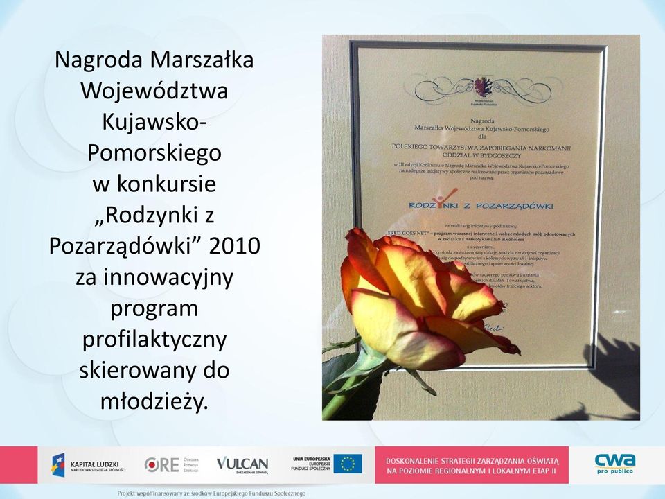 Rodzynki z Pozarządówki 2010 za