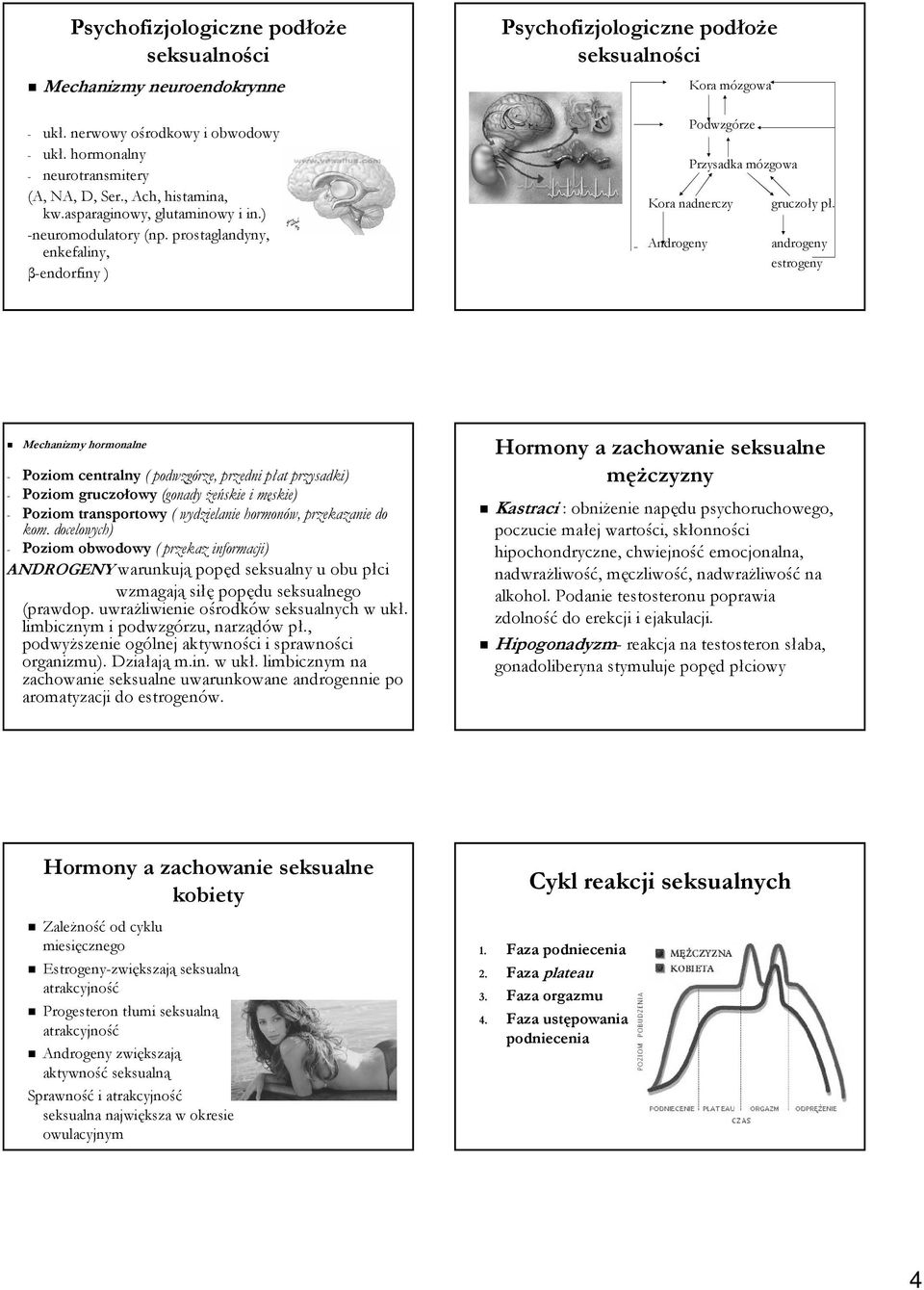 prostaglandyny, enkefaliny, β-endorfiny ) Psychofizjologiczne podłoŝe seksualności Kora mózgowa Podwzgórze Przysadka mózgowa Kora nadnerczy Androgeny gruczoły pł.