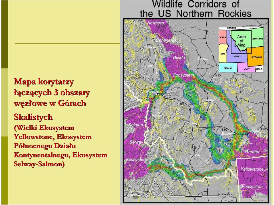 Yellowstone, Ekosystem Północnego Działu