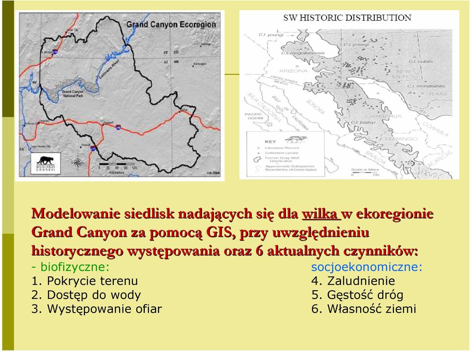 czynników: - biofizyczne: socjoekonomiczne: 1. Pokrycie terenu.