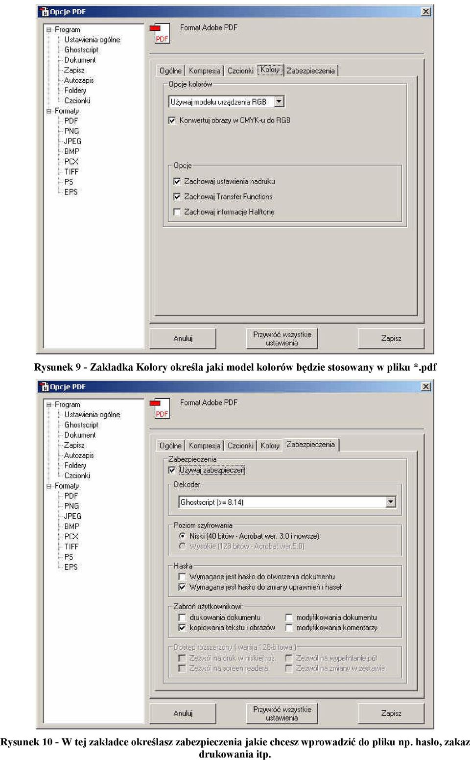 pdf Rysunek 10 - W tej zakładce określasz