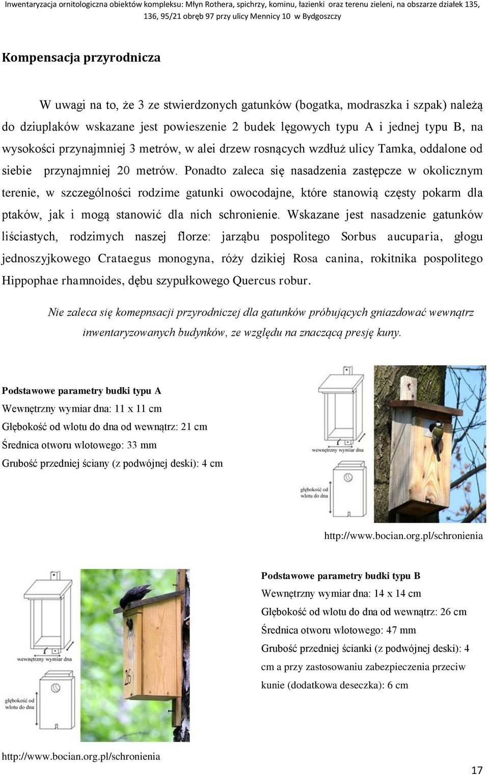 Ponadto zaleca się nasadzenia zastępcze w okolicznym terenie, w szczególności rodzime gatunki owocodajne, które stanowią częsty pokarm dla ptaków, jak i mogą stanowić dla nich schronienie.