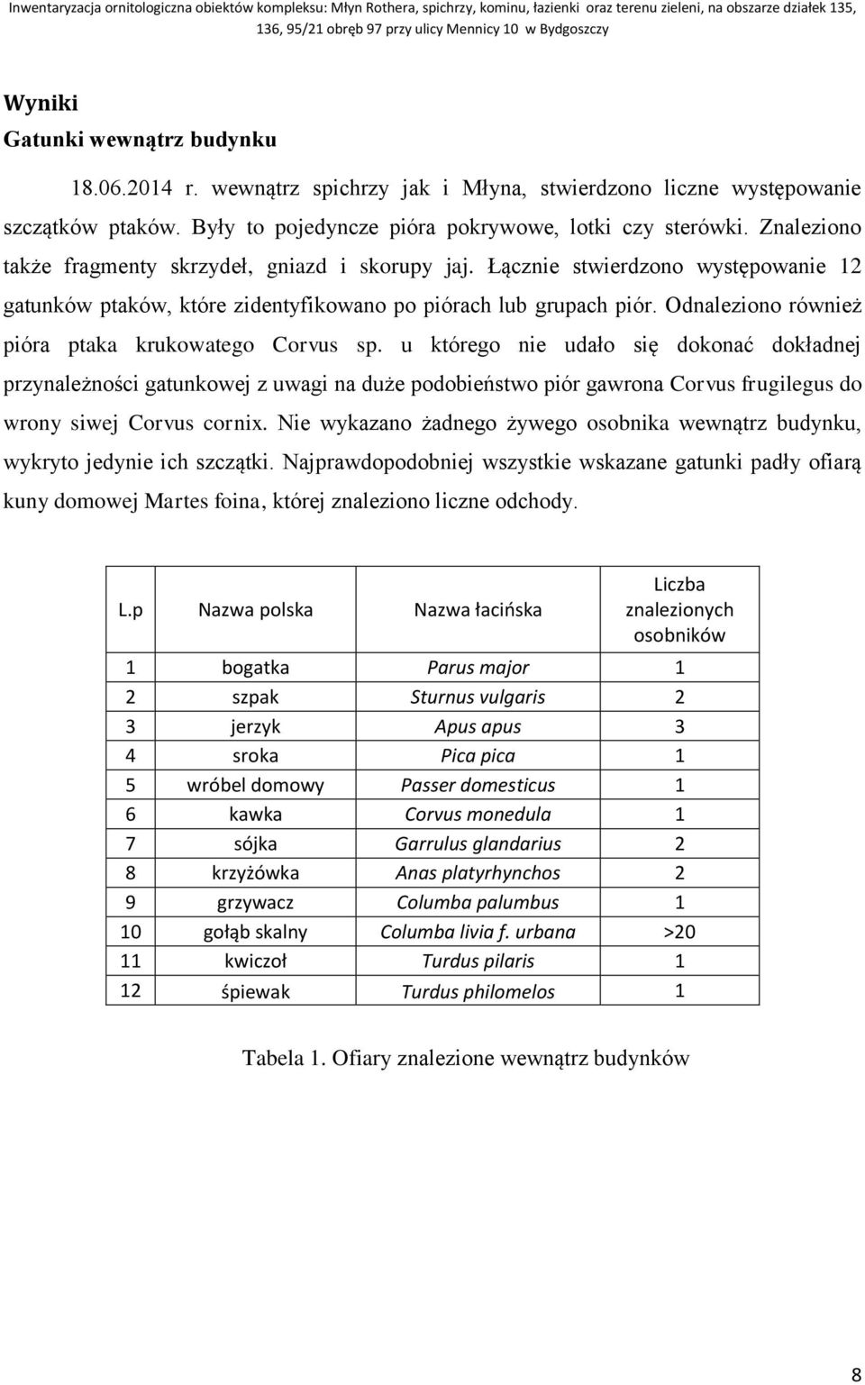 Odnaleziono również pióra ptaka krukowatego Corvus sp.