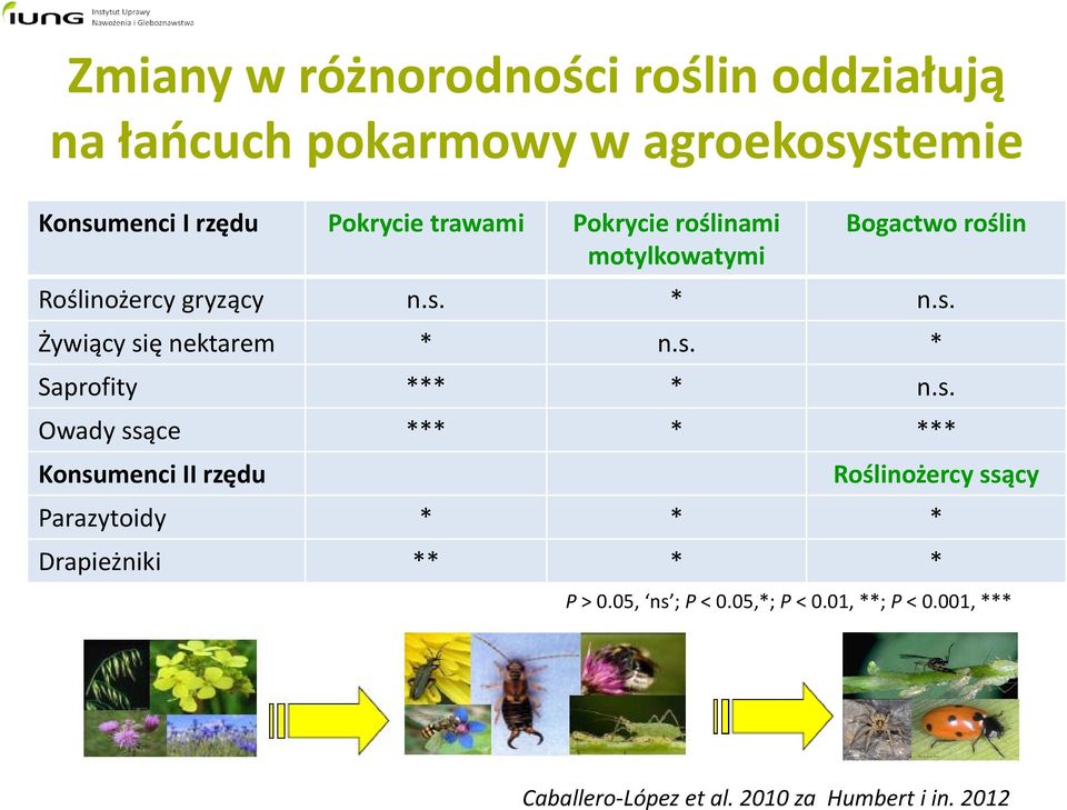 s. * Saprofity *** * n.s. Owady ssące *** * *** Konsumenci II rzędu Roślinożercy ssący Parazytoidy * * * Drapieżniki ** * * P > 0.