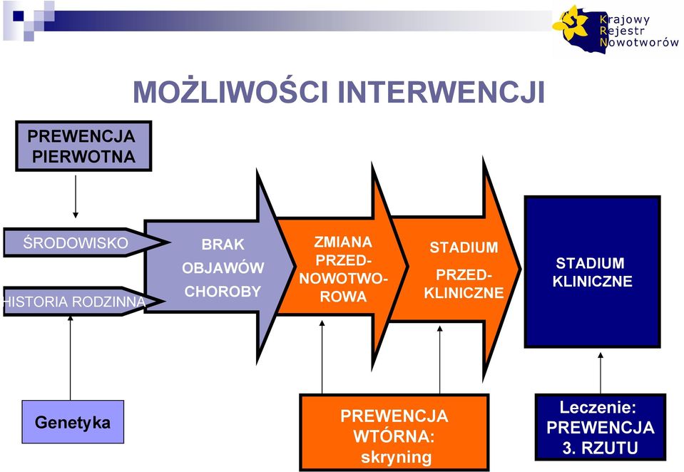 NOWOTWO- ROWA STADIUM PRZED- KLINICZNE STADIUM KLINICZNE