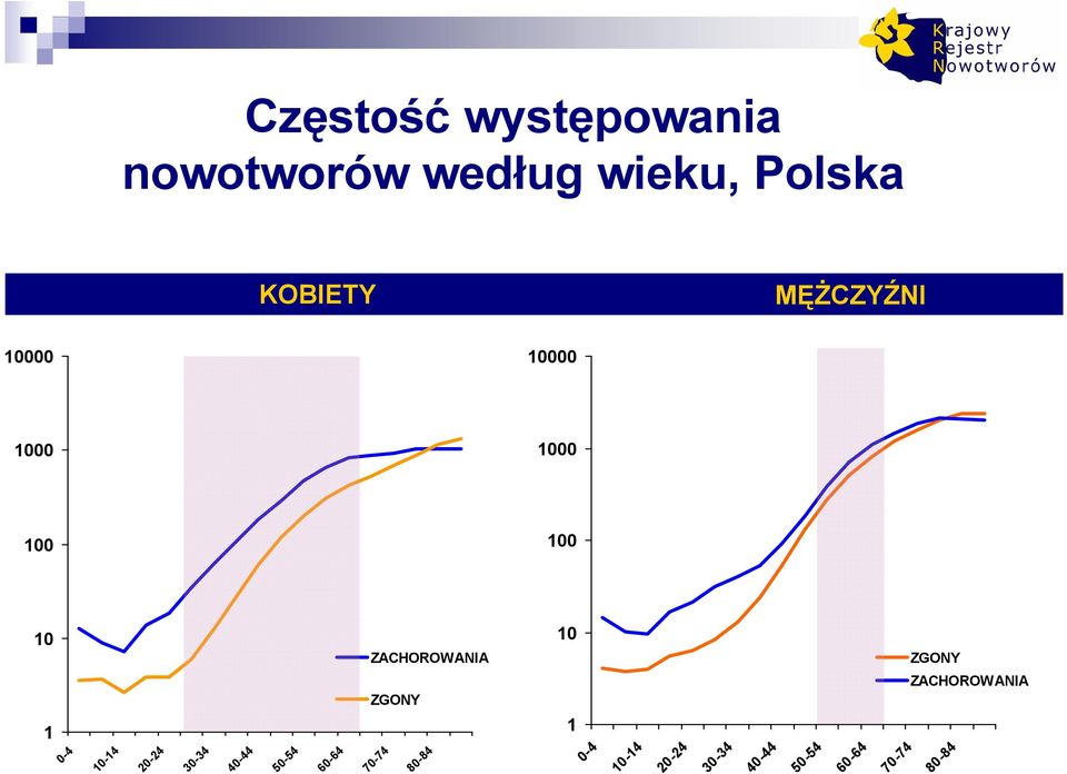 ZGONY 1 1 ZGONY ZACHOROWANIA 2-24 3-34 4-44 5-54 6-64