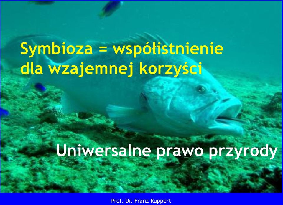 wzajemnej korzyści