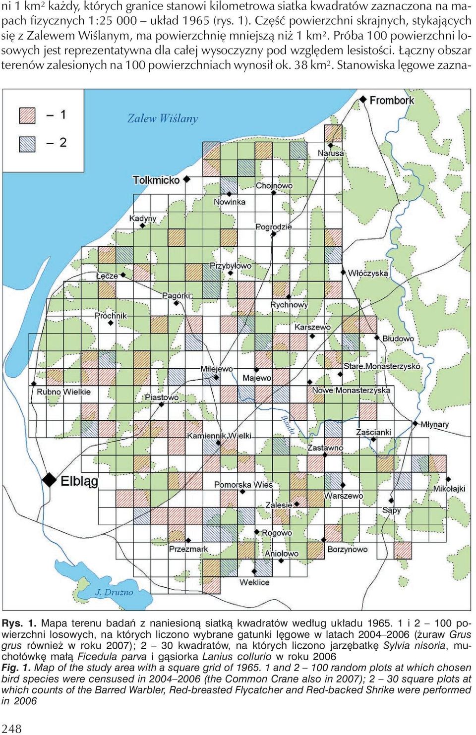 Łączny obszar terenów zalesionychna 100 powierzchniachwynosił ok. 38 km². Stanowiska lęgowe zazna- Rys. 1. Mapa terenu badań z naniesioną siatką kwadratów według układu 1965.