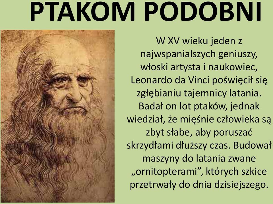 Badał on lot ptaków, jednak wiedział, że mięśnie człowieka są zbyt słabe, aby poruszać