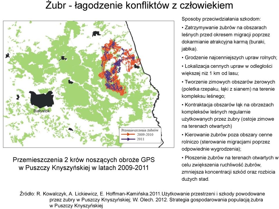 leśnego; Kontraktacja obszarów łąk na obrzeżach kompleksów leśnych regularnie użytkowanych przez żubry (ostoje zimowe na terenach otwartych) Kierowanie żubrów poza obszary cenne rolniczo (sterowanie