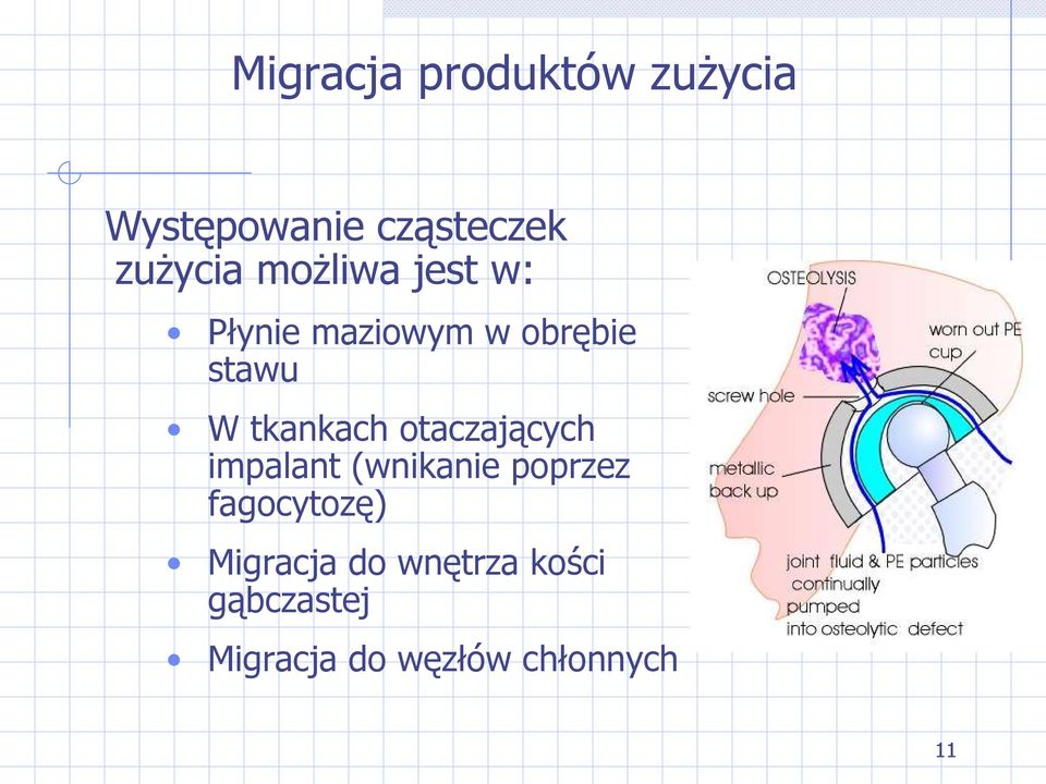 otaczających impalant (wnikanie poprzez fagocytozę)