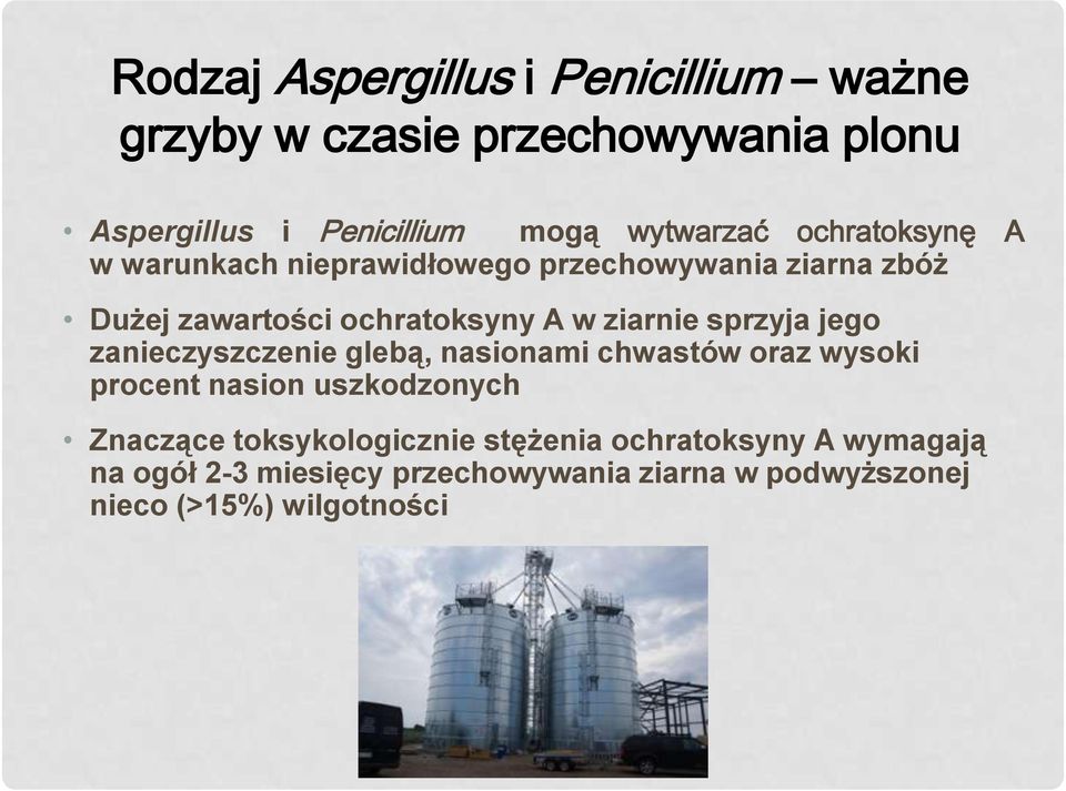 sprzyja jego zanieczyszczenie glebą, nasionami chwastów oraz wysoki procent nasion uszkodzonych Znaczące
