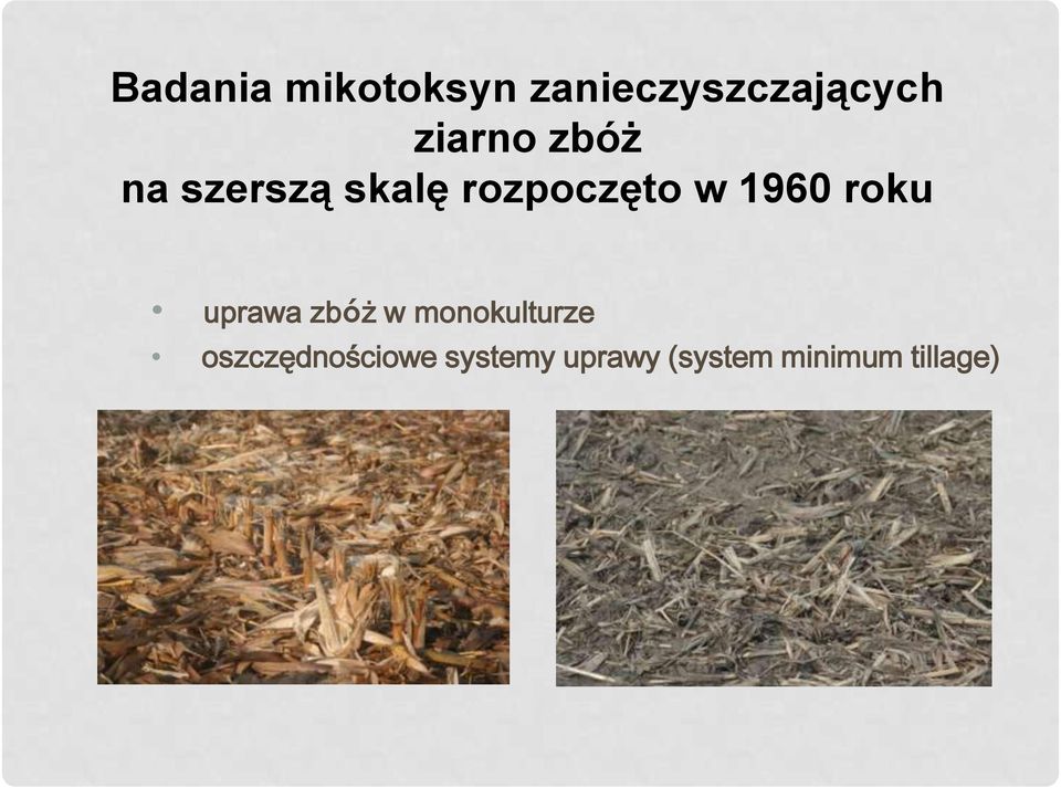 1960 roku uprawa zbóż w monokulturze