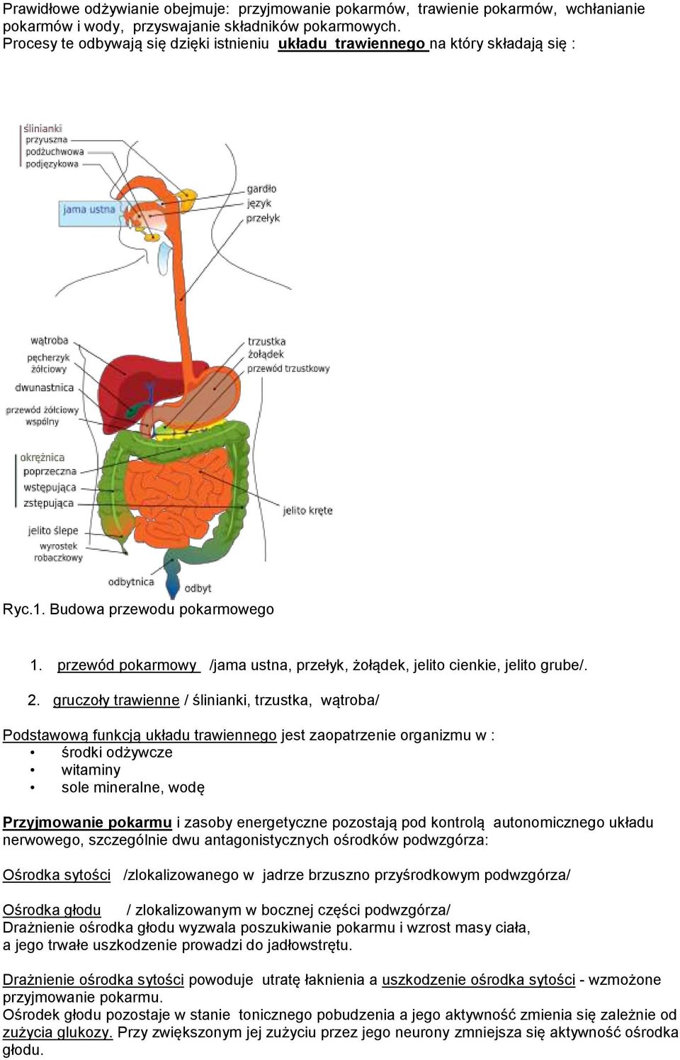 przewód pokarmowy /jama ustna, przełyk, żołądek, jelito cienkie, jelito grube/. 2.