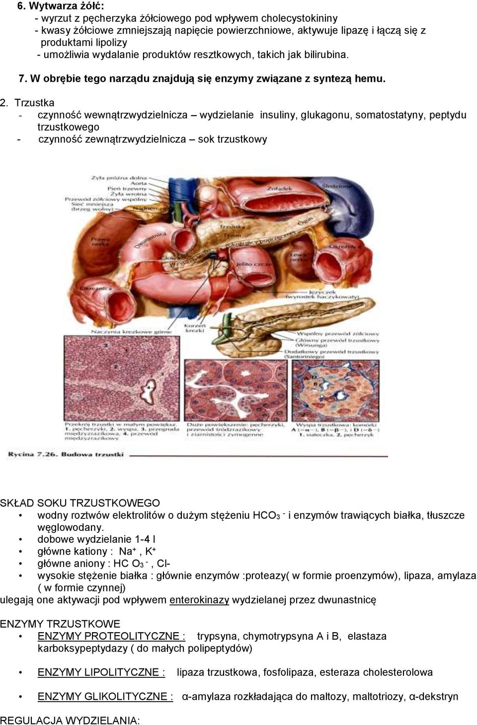 Trzustka - czynność wewnątrzwydzielnicza wydzielanie insuliny, glukagonu, somatostatyny, peptydu trzustkowego - czynność zewnątrzwydzielnicza sok trzustkowy SKŁAD SOKU TRZUSTKOWEGO wodny roztwów