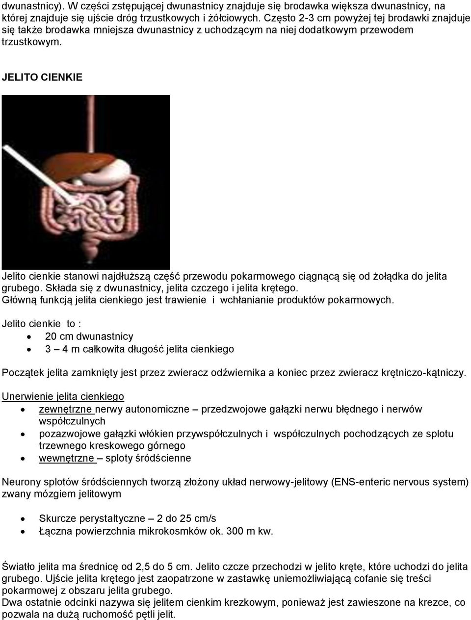 JELITO CIENKIE Jelito cienkie stanowi najdłuższą część przewodu pokarmowego ciągnącą się od żołądka do jelita grubego. Składa się z dwunastnicy, jelita czczego i jelita krętego.