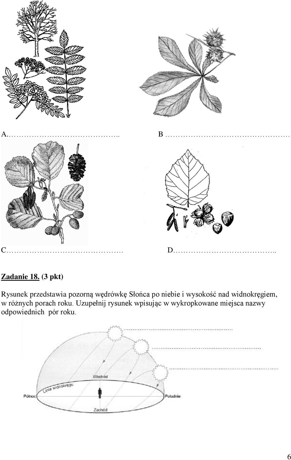 niebie i wysokość nad widnokręgiem, w różnych porach