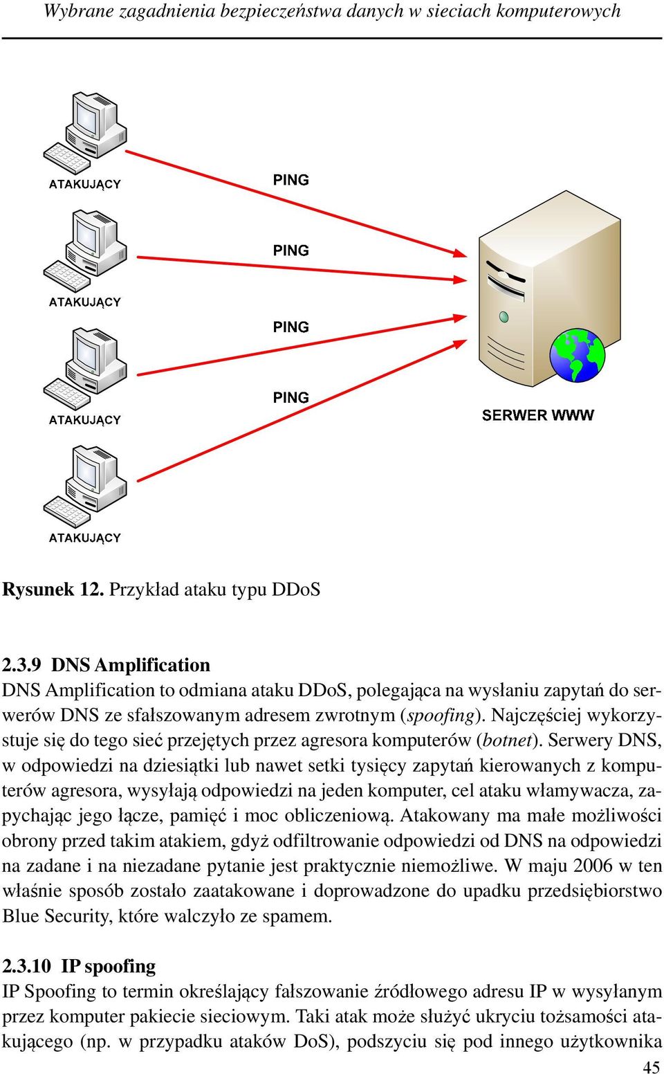 Najczęściej wykorzystuje się do tego sieć przejętych przez agresora komputerów (botnet).