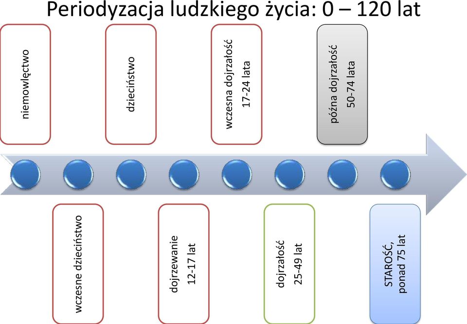 niemowlęctwo dzieciństwo wczesna dojrzałość 17-24