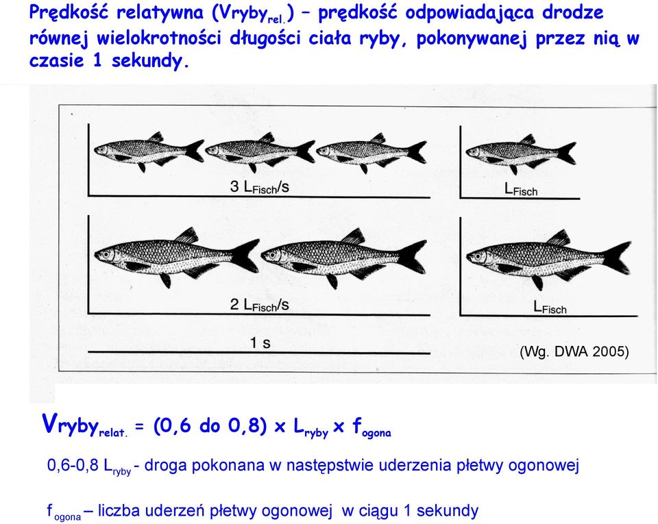 pokonywanej przez nią w czasie 1 sekundy. (Wg. DWA 2005) Vrybyrelat.