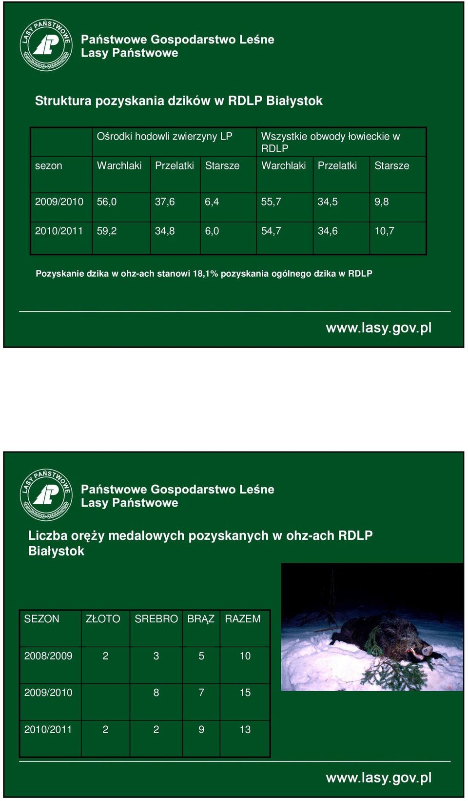34,8 6,0 54,7 34,6 10,7 Pozyskanie dzika w ohz-ach stanowi 18,1% pozyskania ogólnego dzika w RDLP Liczba