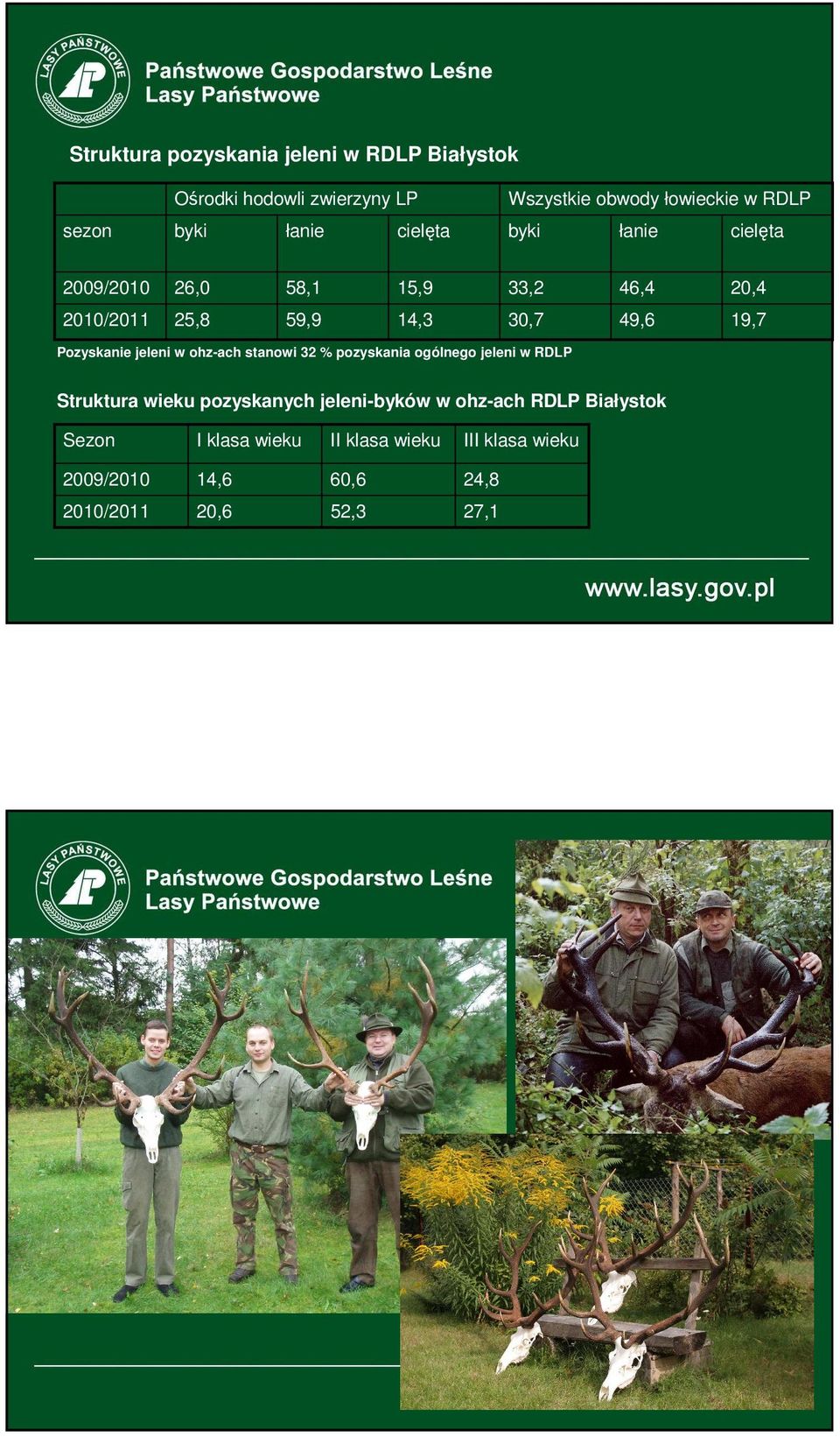 Pozyskanie jeleni w ohz-ach stanowi 32 % pozyskania ogólnego jeleni w RDLP Struktura wieku pozyskanych