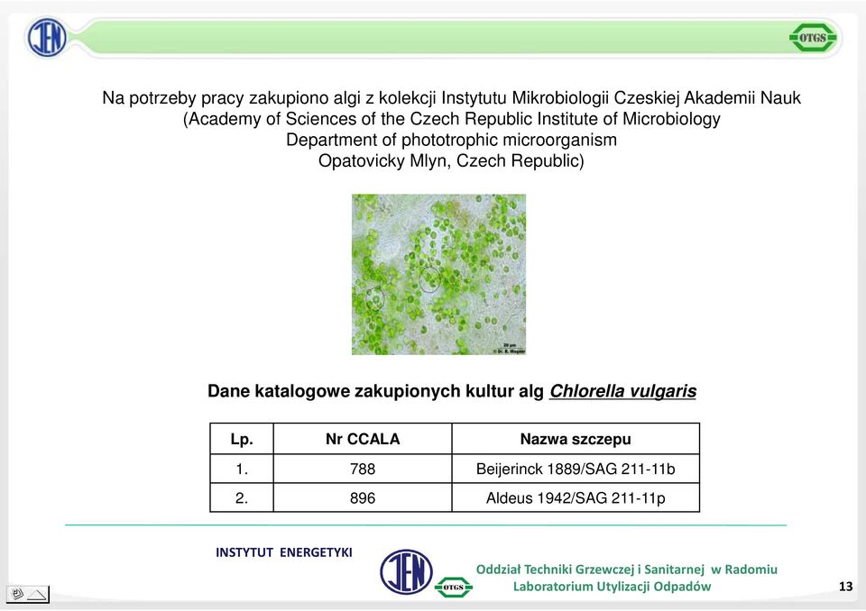 Opatovicky Mlyn, Czech Republic) Dane katalogowe zakupionych kultur alg Chlorella vulgaris Lp.