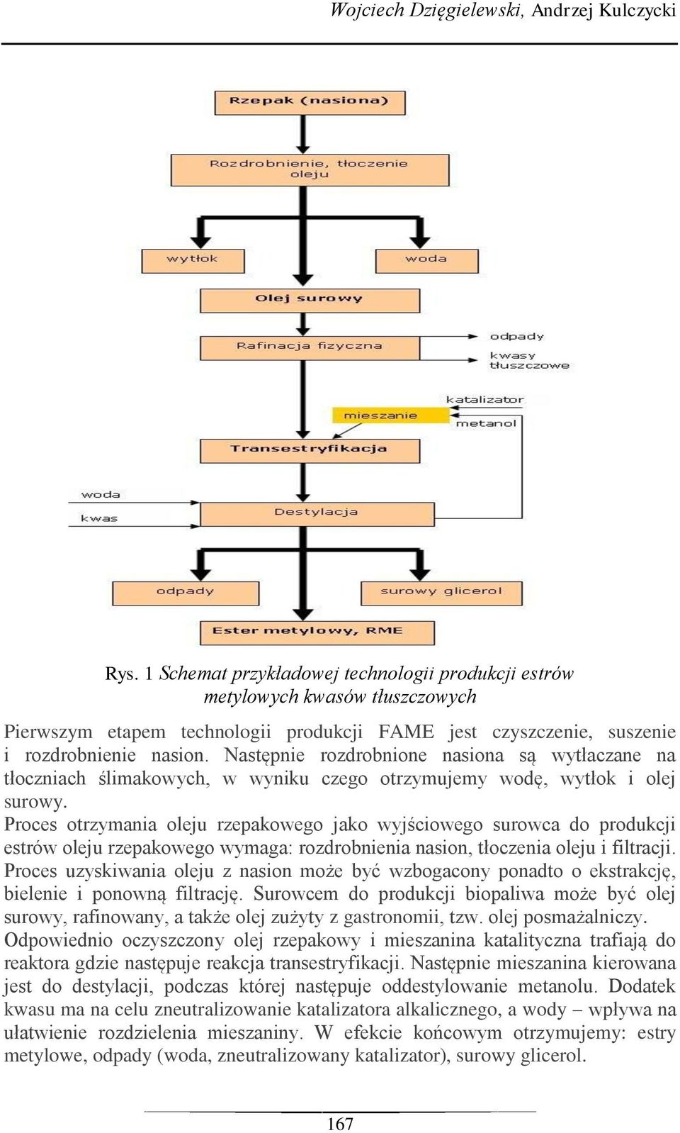 Następnie rozdrobnione nasiona są wytłaczane na tłoczniach ślimakowych, w wyniku czego otrzymujemy wodę, wytłok i olej surowy.