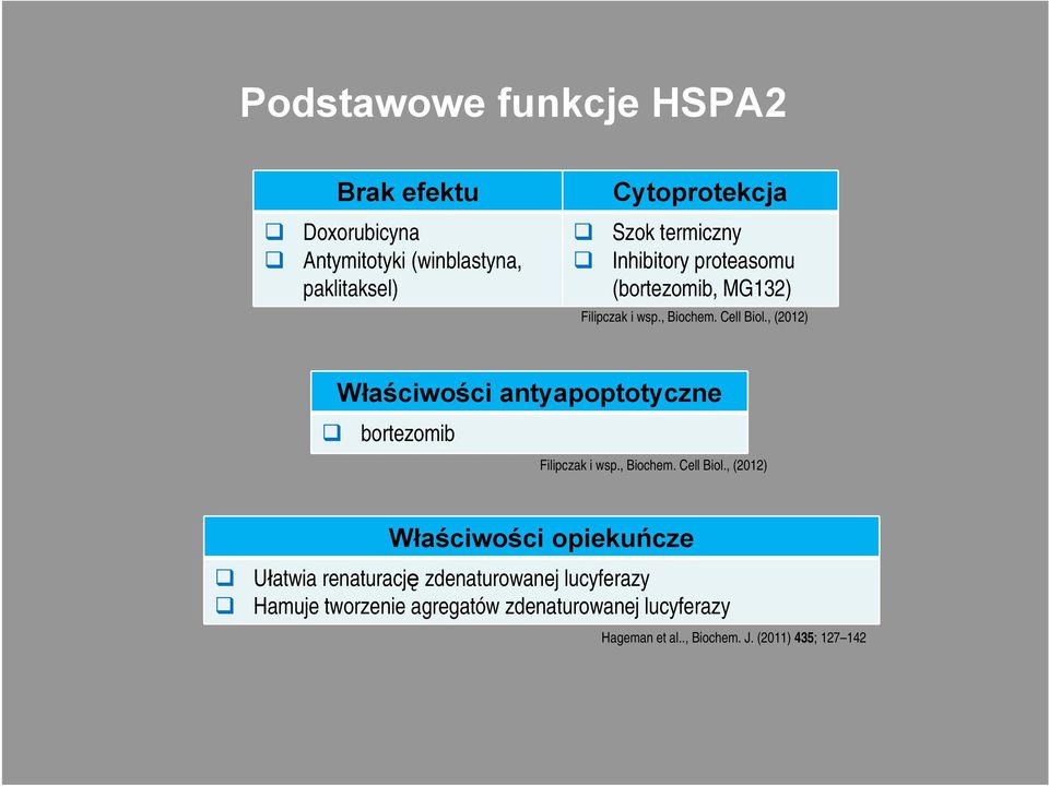 , (2012) Właściwości antyapoptotyczne bortezomib Filipczak i wsp., Biochem. Cell Biol.