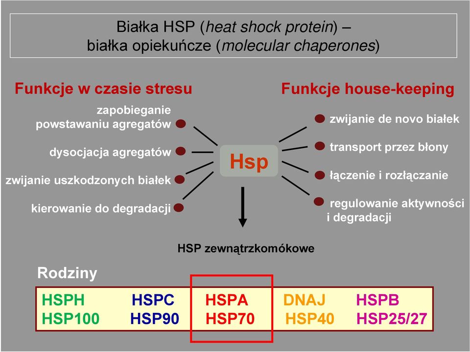 degradacji Hsp Funkcje house-keeping zwijanie de novo białek transport przez błony łączenie i rozłączanie