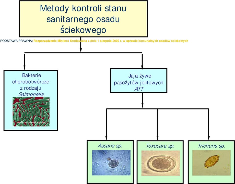 w sprawie komunalnych osadów ściekowych Bakterie chorobotwórcze z