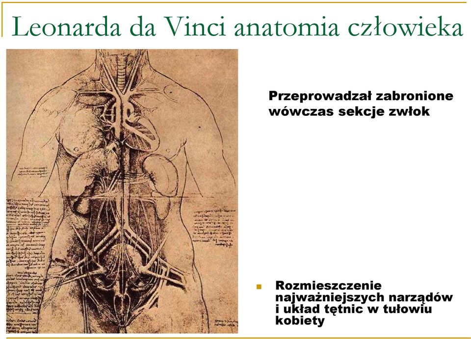 sekcje zwłok Rozmieszczenie