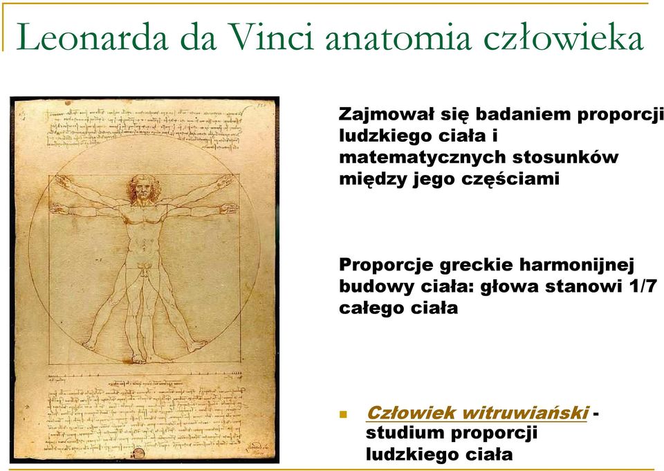 częściami Proporcje greckie harmonijnej budowy ciała: głowa
