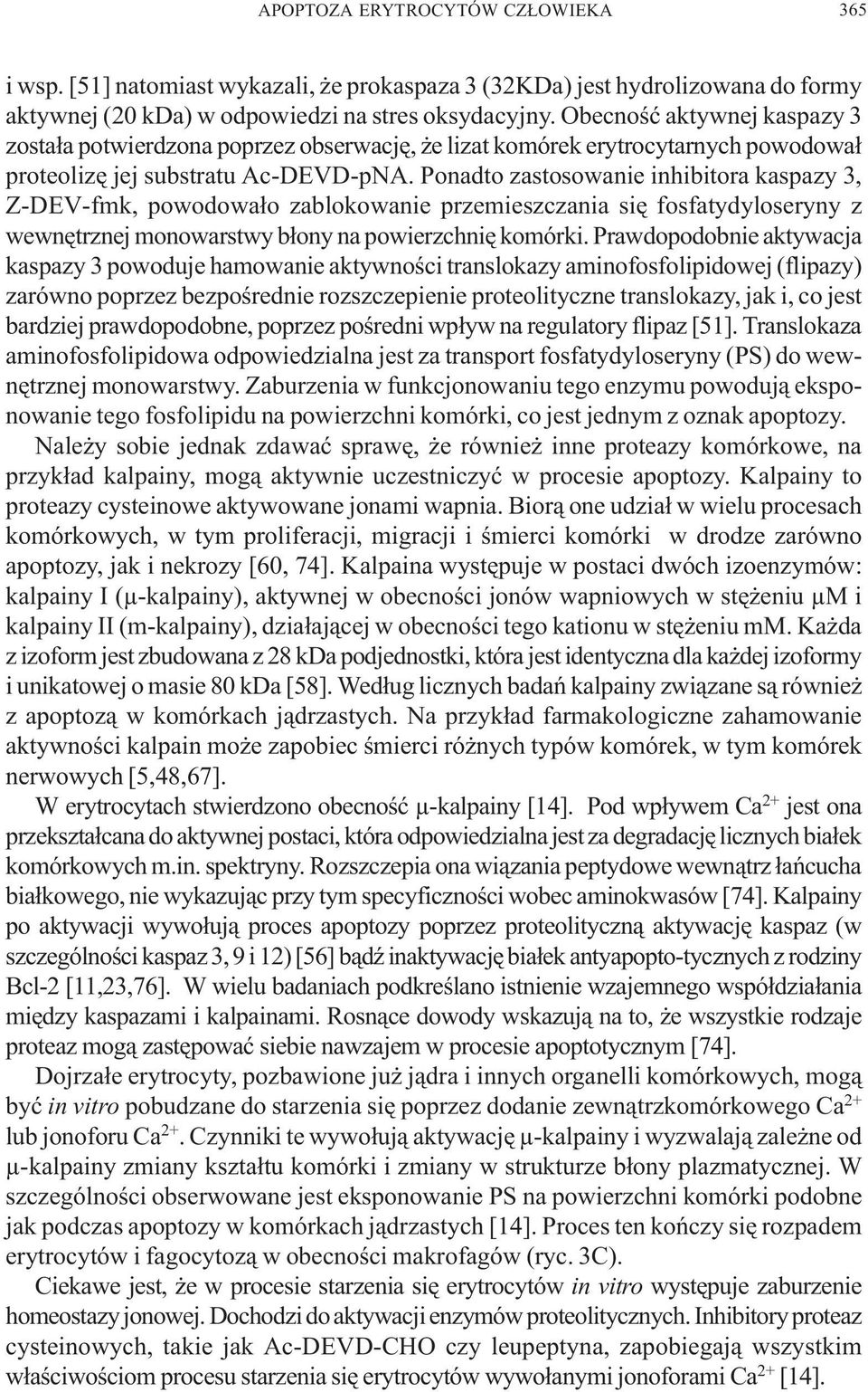 Ponadto zastosowanie inhibitora kaspazy 3, Z-DEV-fmk, powodowa³o zablokowanie przemieszczania siê fosfatydyloseryny z wewnêtrznej monowarstwy b³ony na powierzchniê komórki.