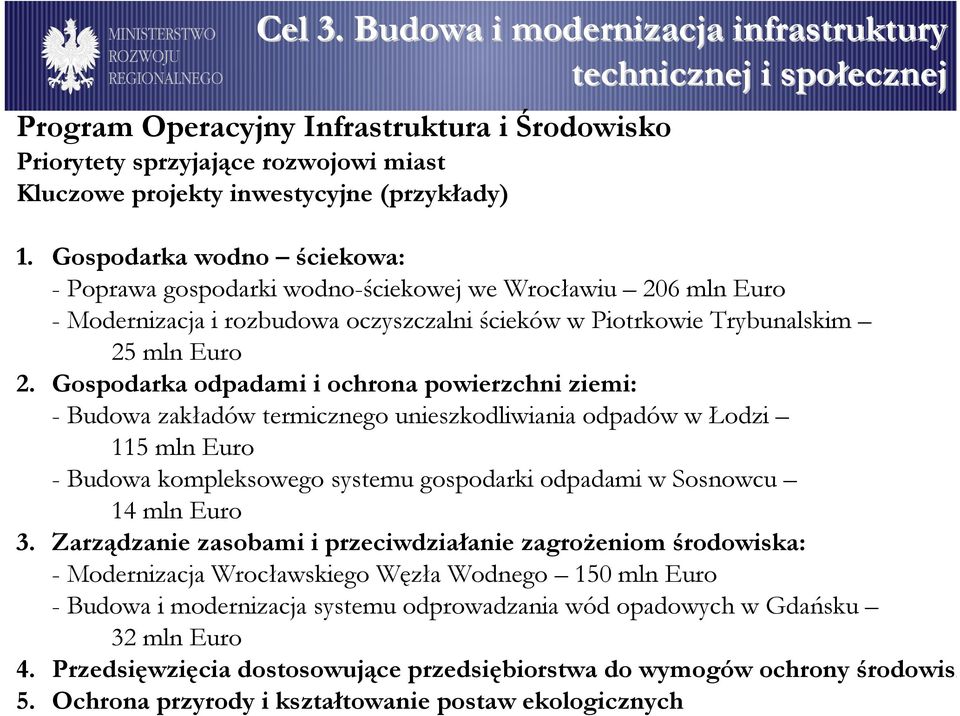 Gospodarka odpadami i ochrona powierzchni ziemi: - Budowa zakładów termicznego unieszkodliwiania odpadów w Łodzi 115 mln Euro - Budowa kompleksowego systemu gospodarki odpadami w Sosnowcu 14 mln Euro