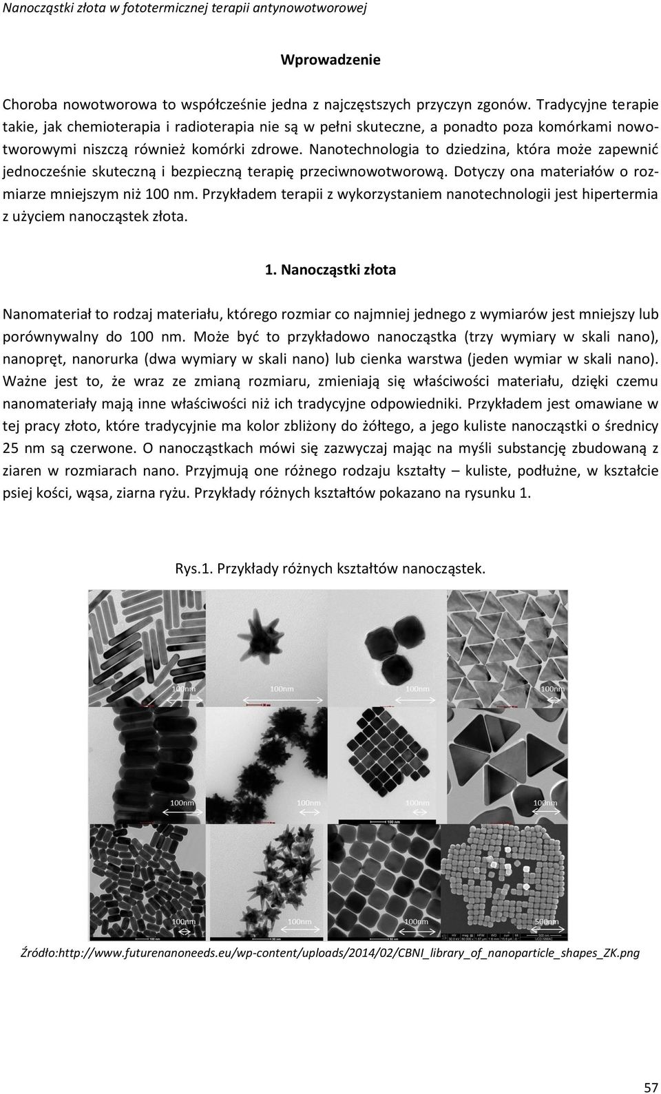 Nanotechnologia to dziedzina, która może zapewnić jednocześnie skuteczną i bezpieczną terapię przeciwnowotworową. Dotyczy ona materiałów o rozmiarze mniejszym niż 100 nm.