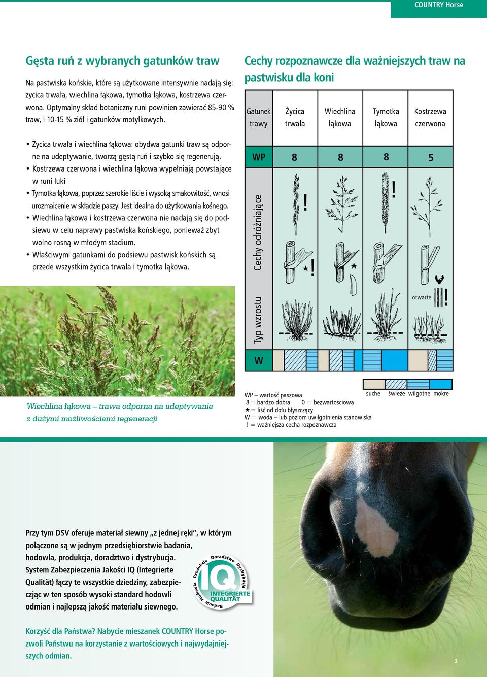 Cechy rozpoznawcze dla ważniejszych traw na pastwisku dla koni Gatunek trawy Życica trwała Wiechlina łąkowa Tymotka łąkowa Kostrzewa czerwona Życica trwała i wiechlina łąkowa: obydwa gatunki traw są