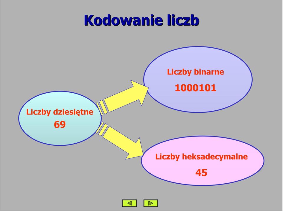 1000101 Liczby